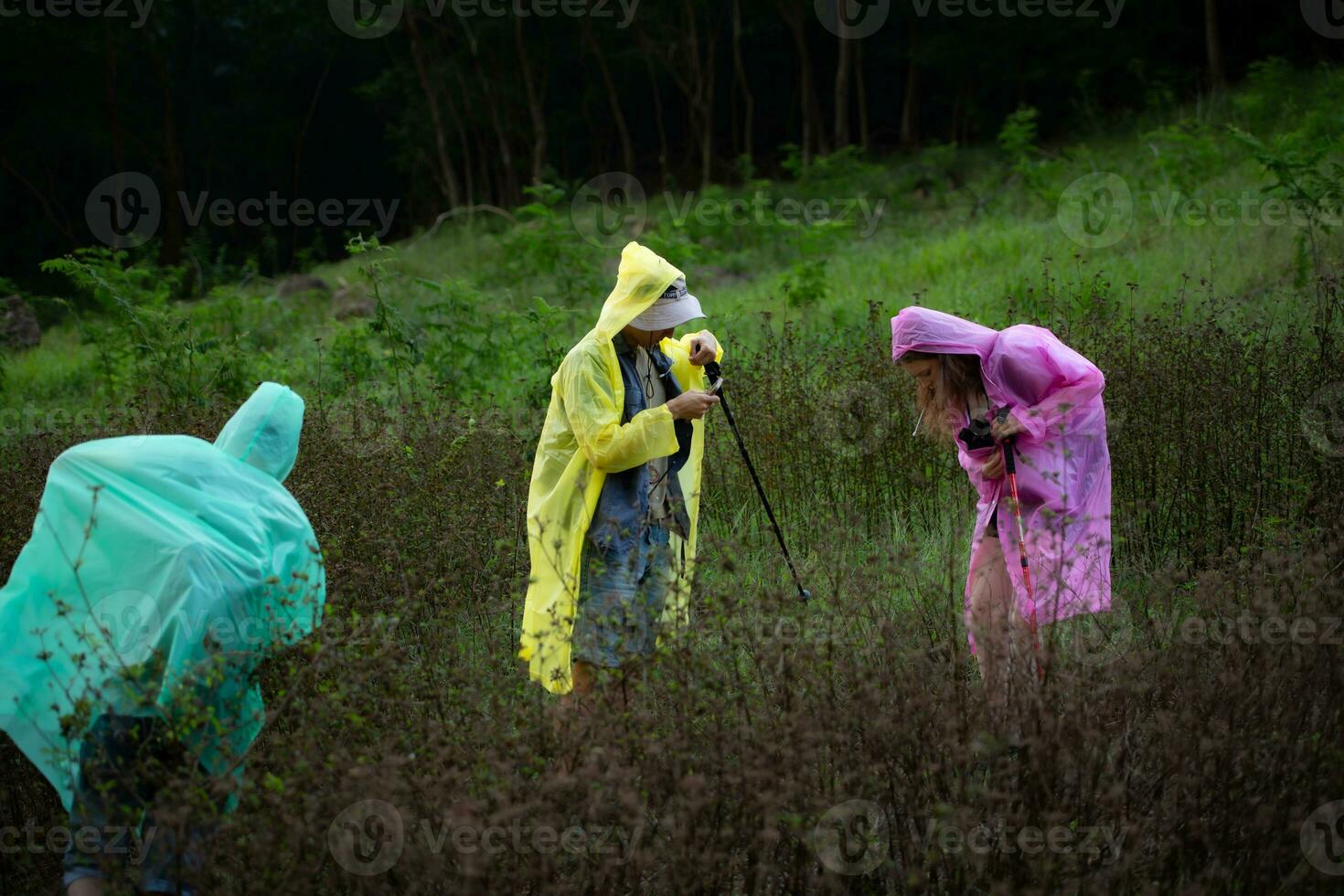 Group of friends in raincoats walking on the forest path, Hiking concept. photo