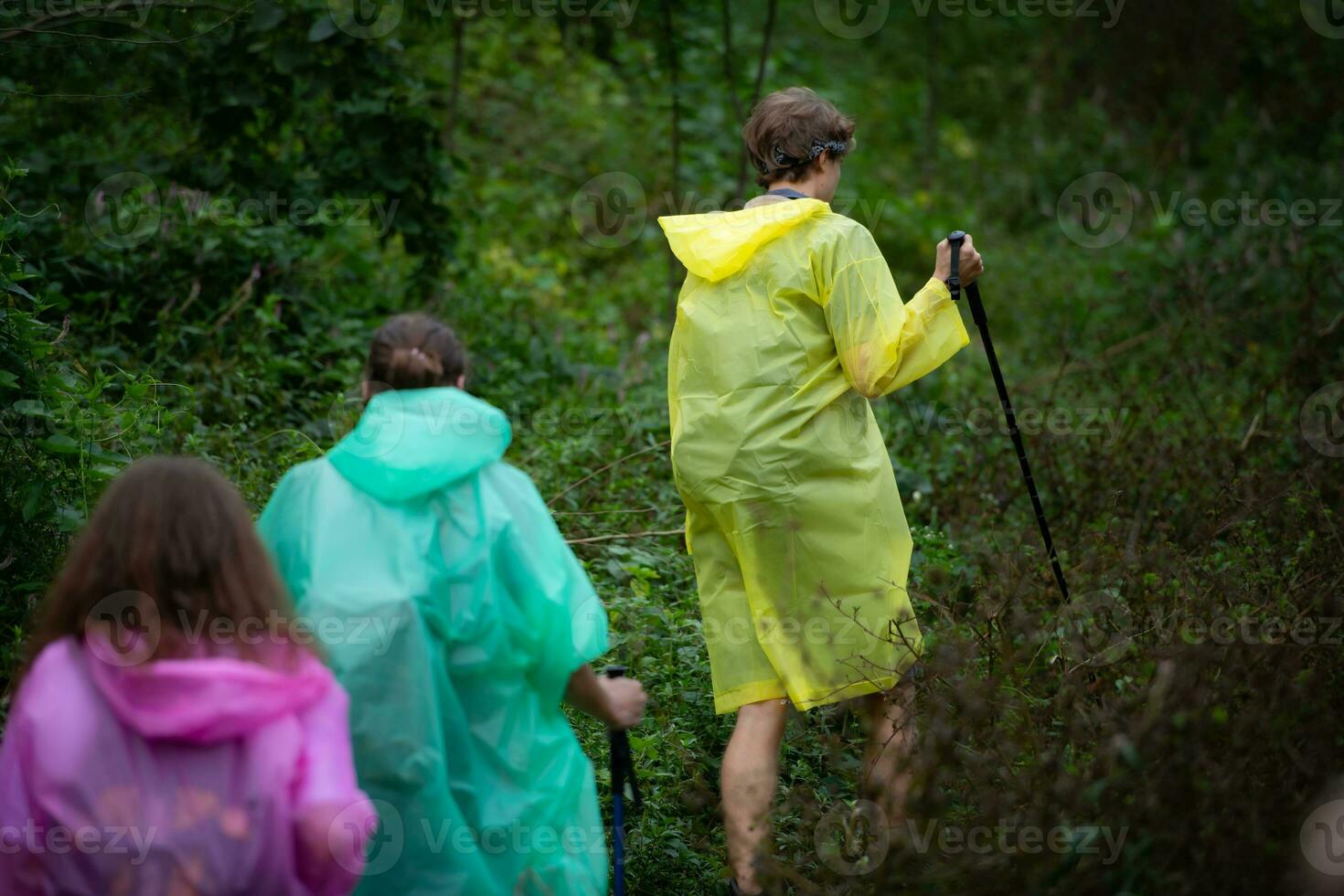 Group of friends in raincoats walking on the forest path, Hiking concept. photo