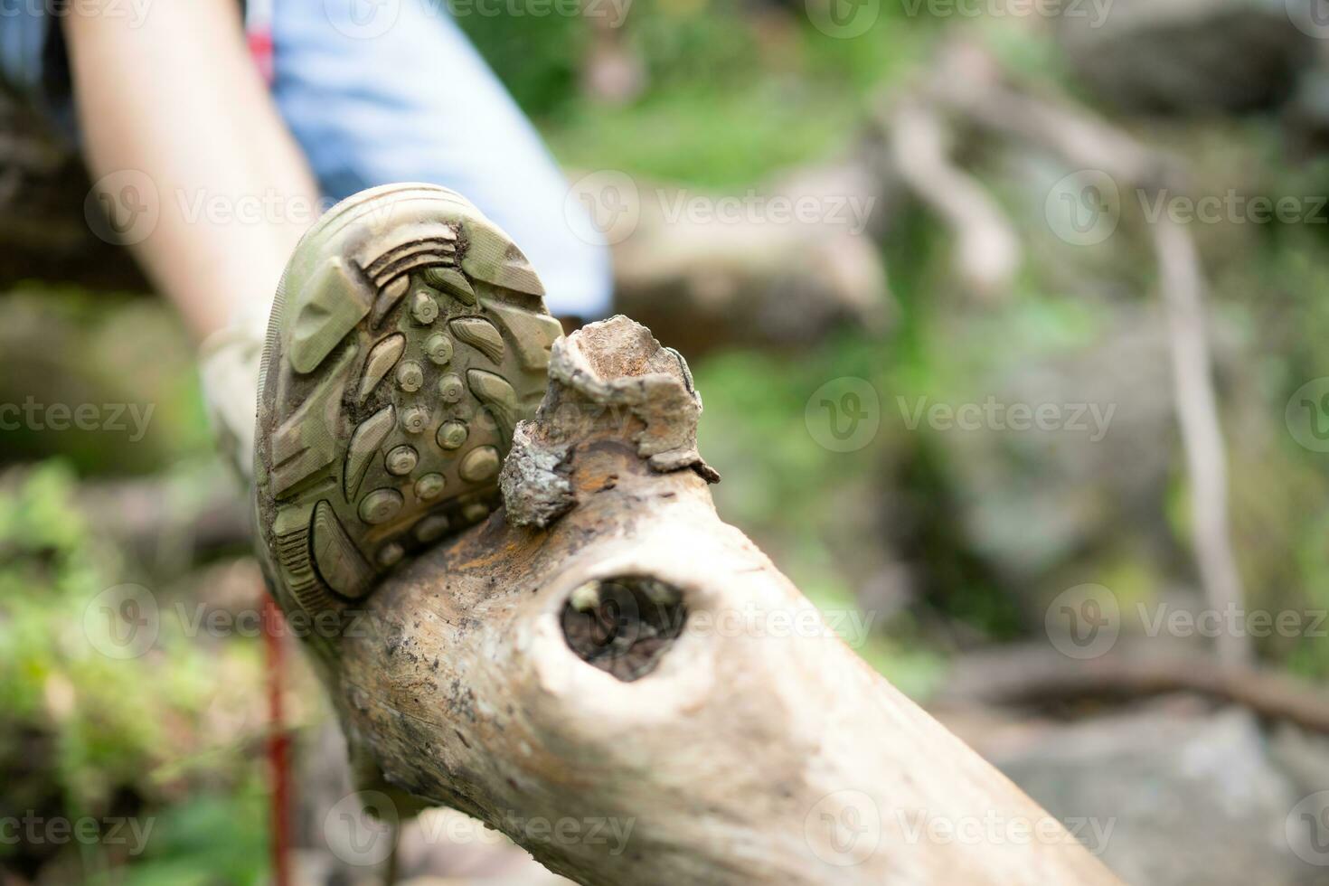 Hiking shoes on a log or rocks in the forest. photo