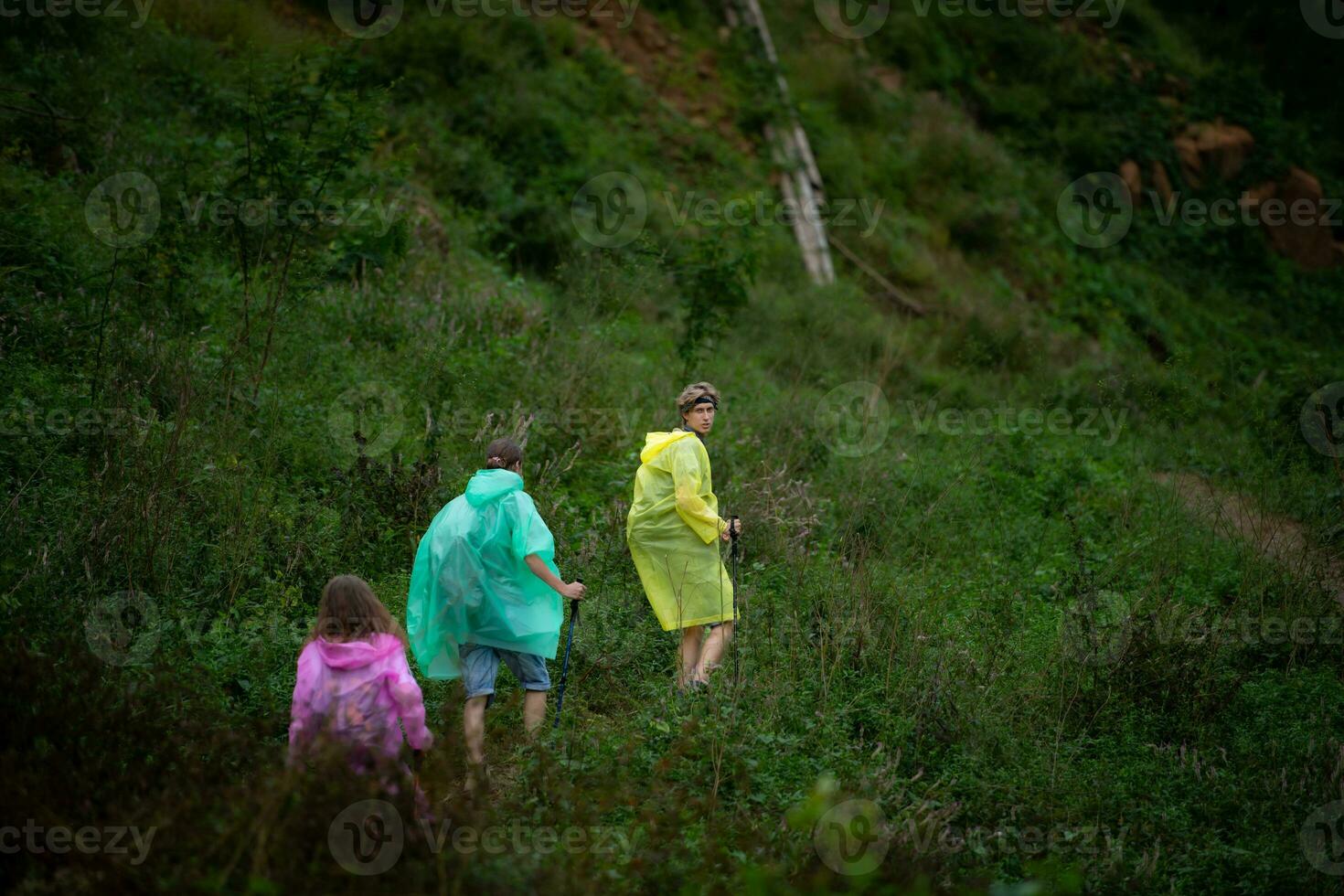 Group of friends in raincoats walking on the forest path, Hiking concept. photo