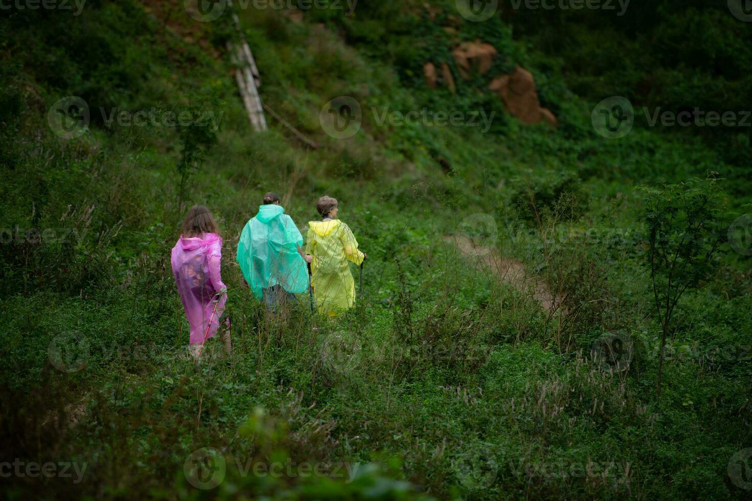 Group of friends in raincoats walking on the forest path, Hiking concept. photo