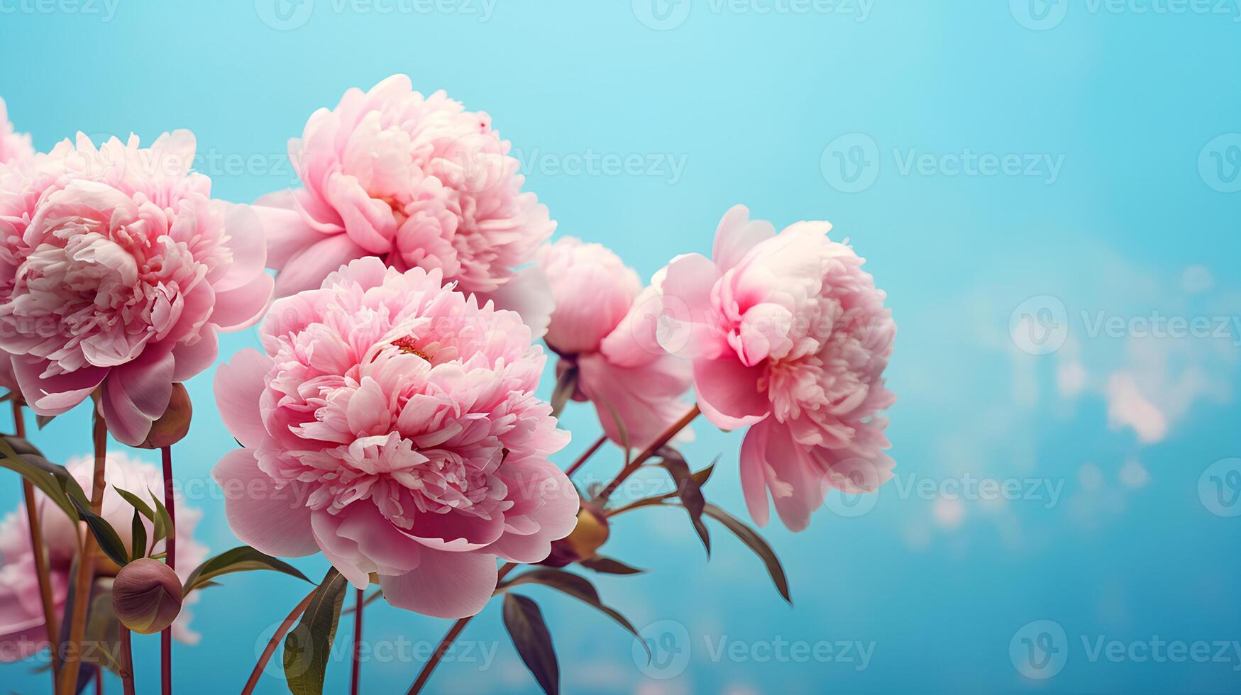 images aesthetic graphic art photo