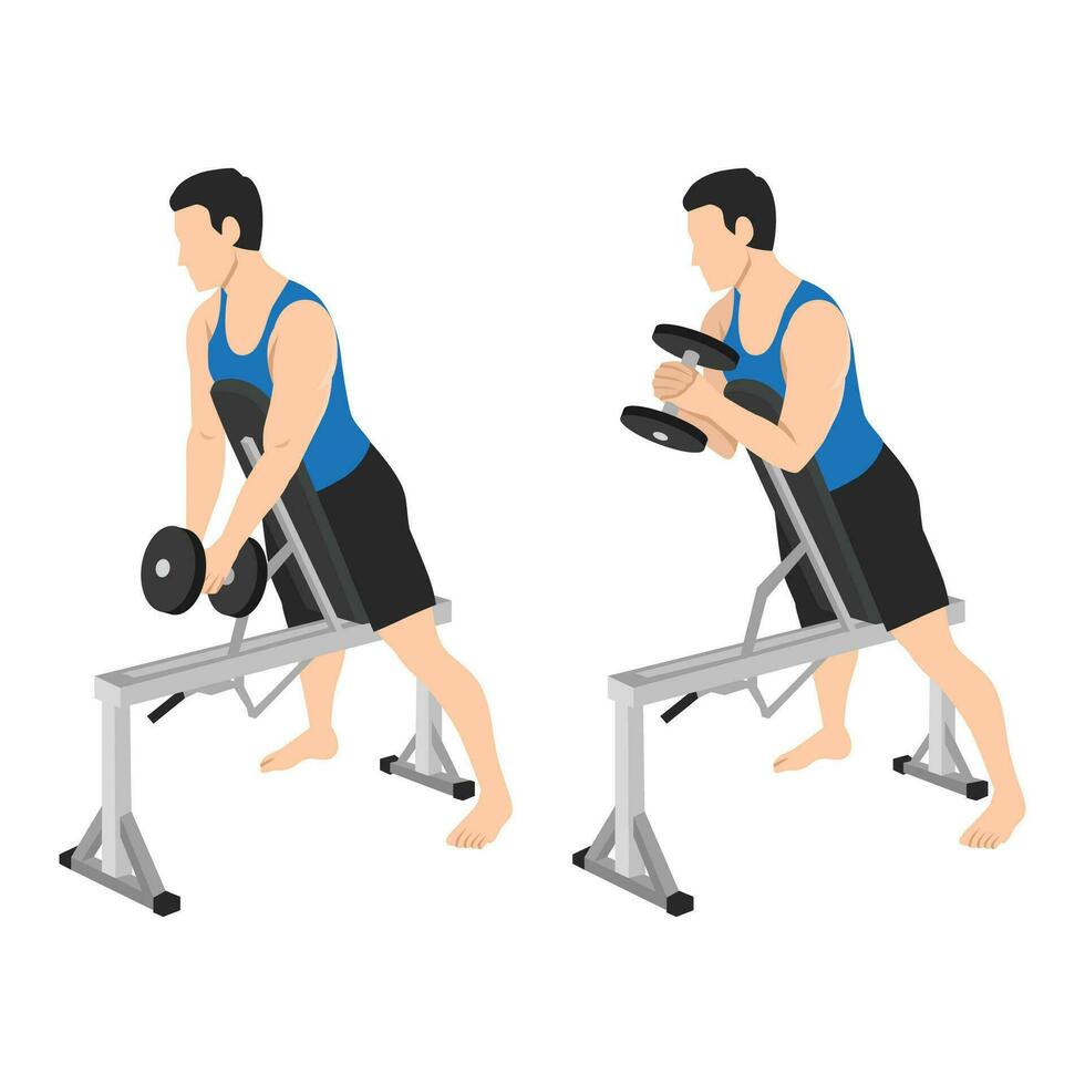 Man doing single dumbbell spider hammer curl exercise. vector