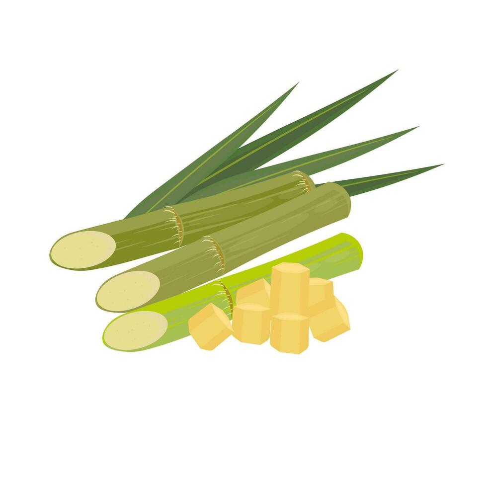 Logo Illustration of Fresh Sugarcane Slices vector