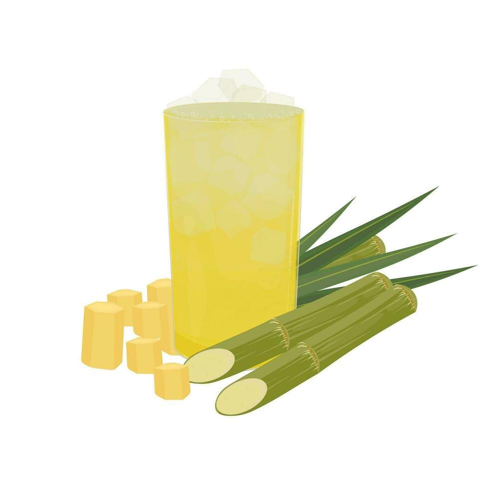 Fresh Sugarcane Juice Vector Illustration Logo