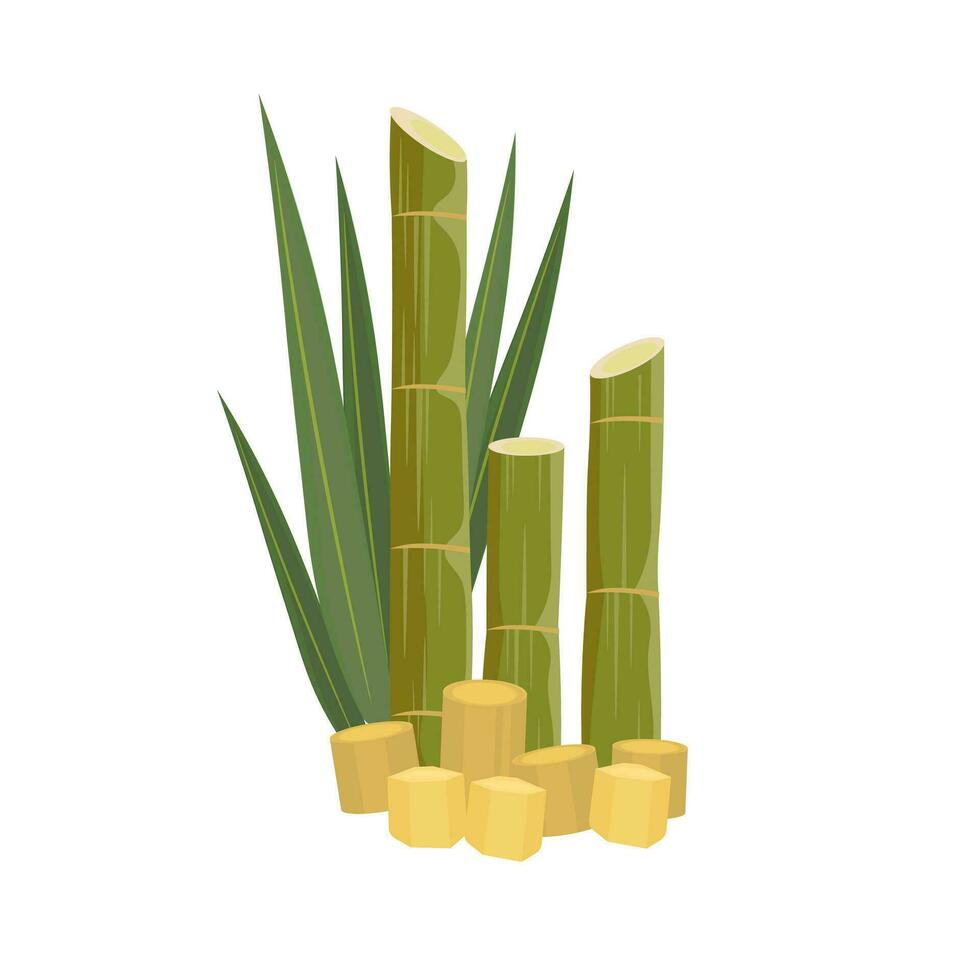 Natural Fresh Sugarcane Vector Illustration Logo