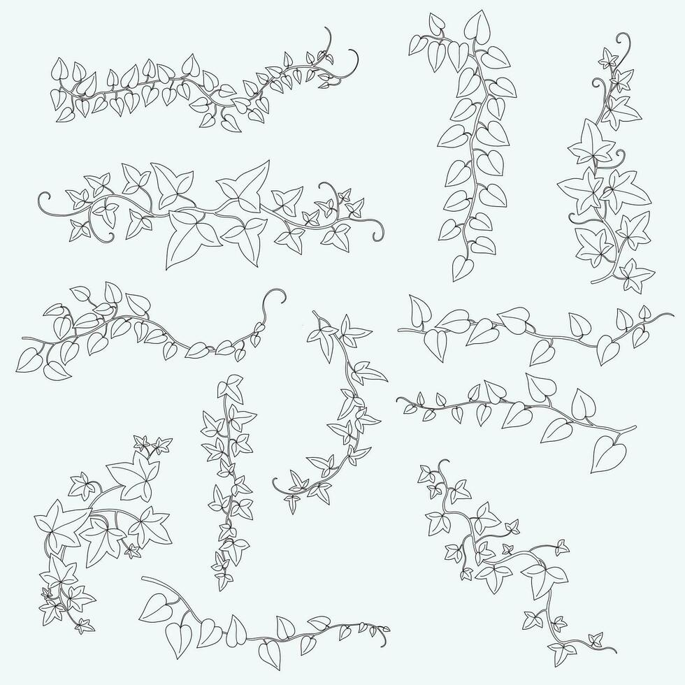 Floral ivy drawing decorative ornament flat design collection. vector
