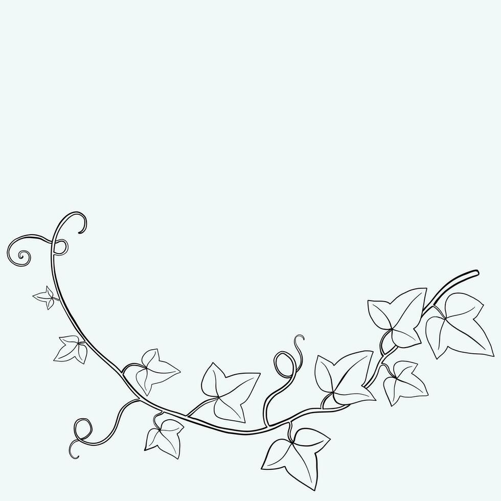 Floral ivy drawing decorative ornament flat design. vector