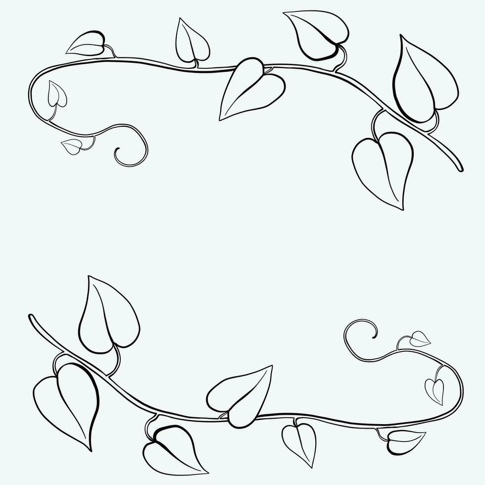 Floral ivy drawing decorative ornament flat design. vector