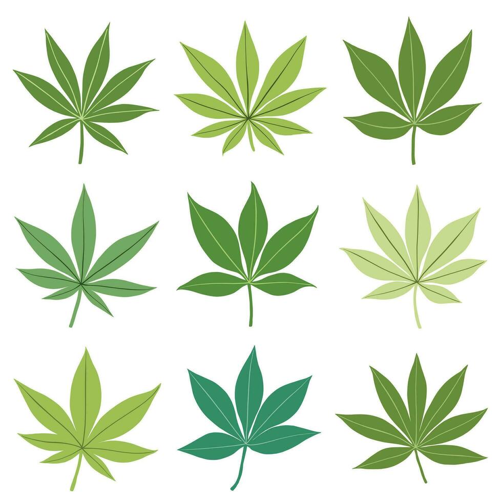 simplicidad hoja de cannabis dibujo a mano alzada colección de diseño plano. vector