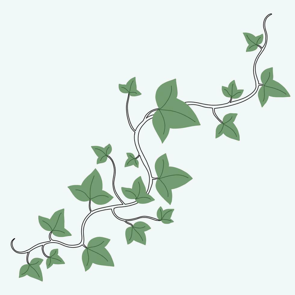 Floral ivy drawing decorative ornament flat design. vector