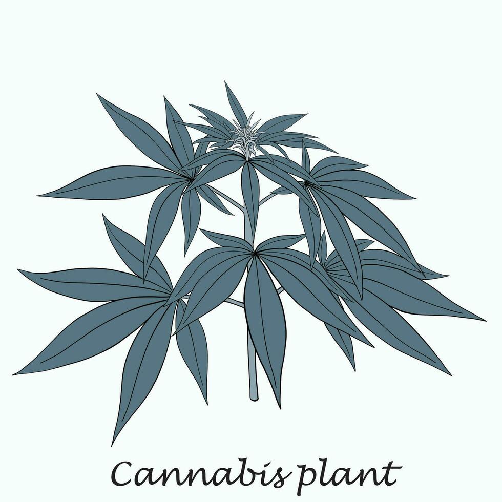 simplicidad planta de cannabis dibujo a mano alzada diseño plano. vector