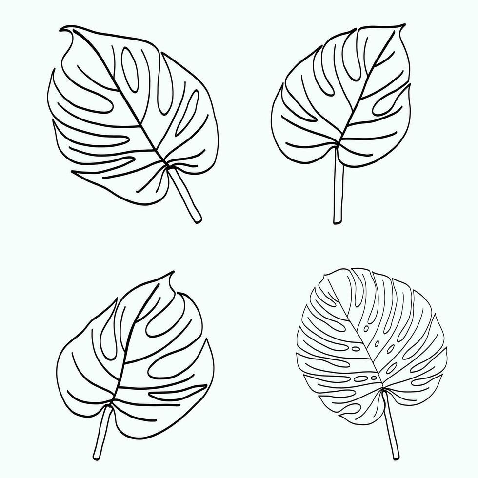 Simplicity monstera leaf freehand continuous line drawing flat design. vector