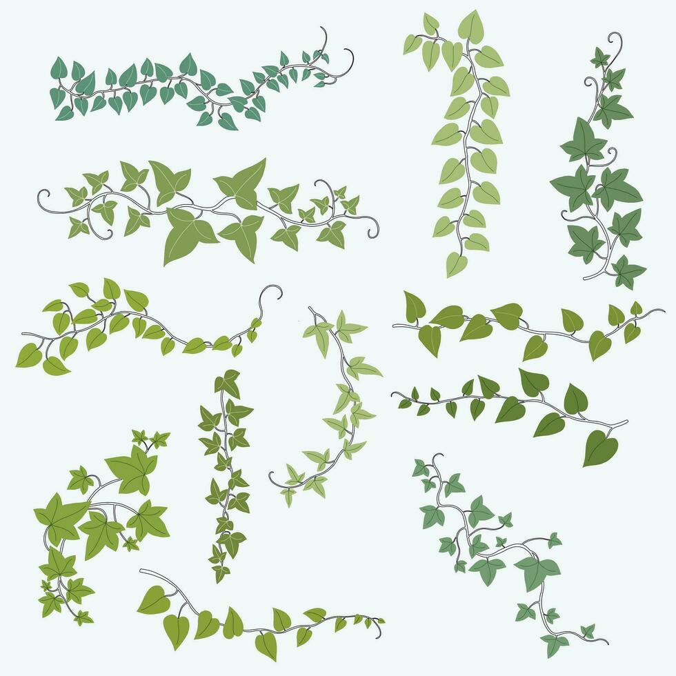 Floral ivy drawing decorative ornament flat design collection. vector