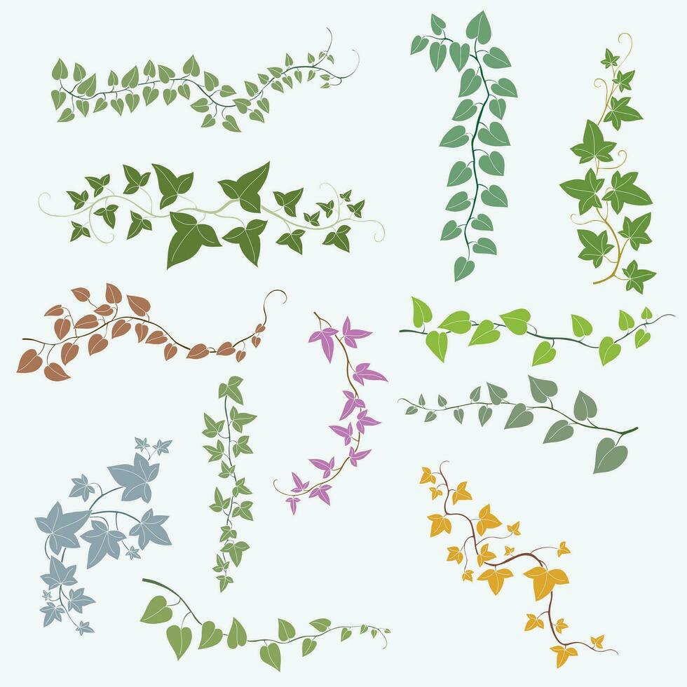 Floral ivy drawing decorative ornament flat design collection. vector
