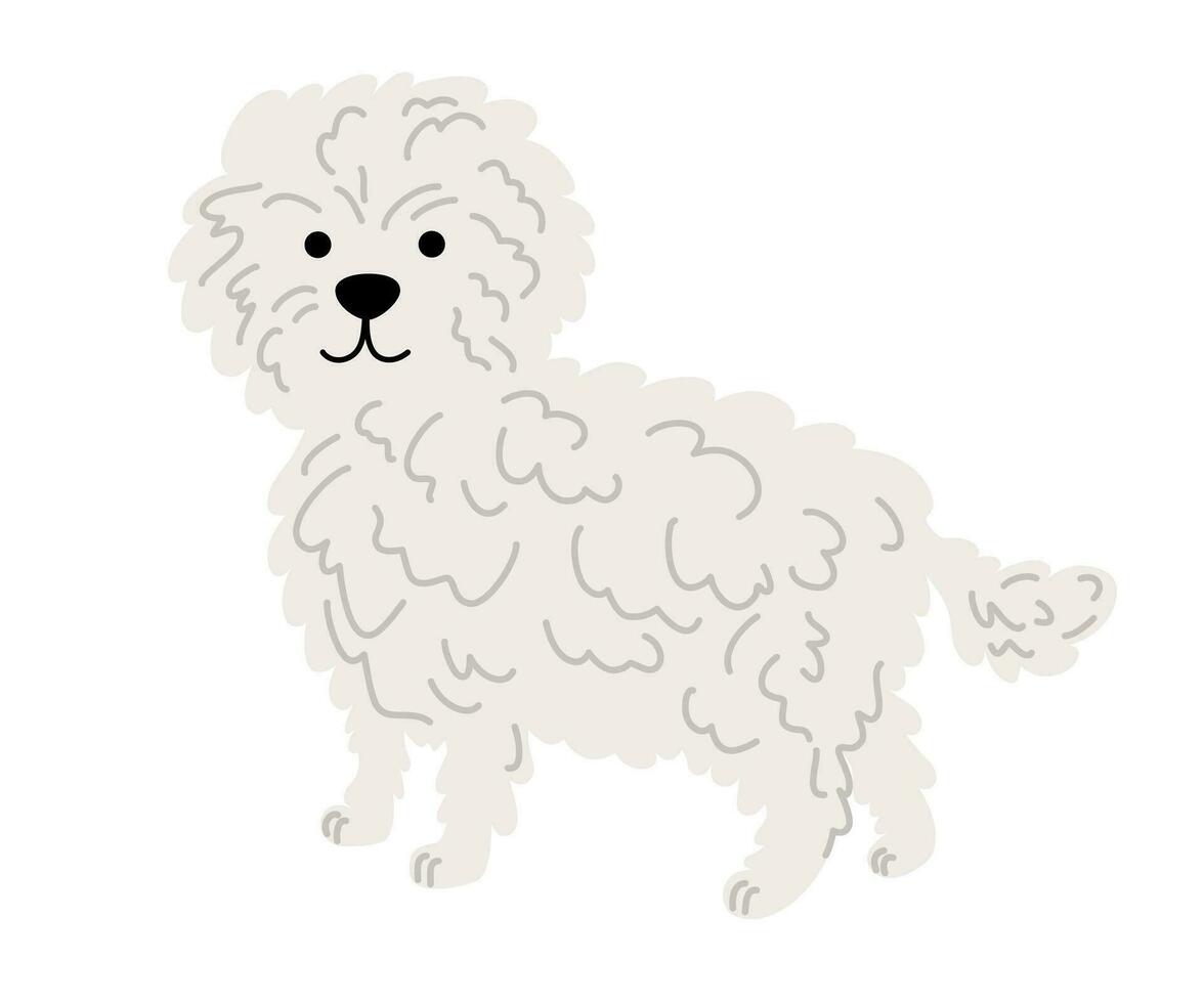 Poodle Maltese dog. Maltipu doggy. Pets, animals, canine theme design element in contemporary simple flat style. Vector cartoon Illustration isolated on the white background.