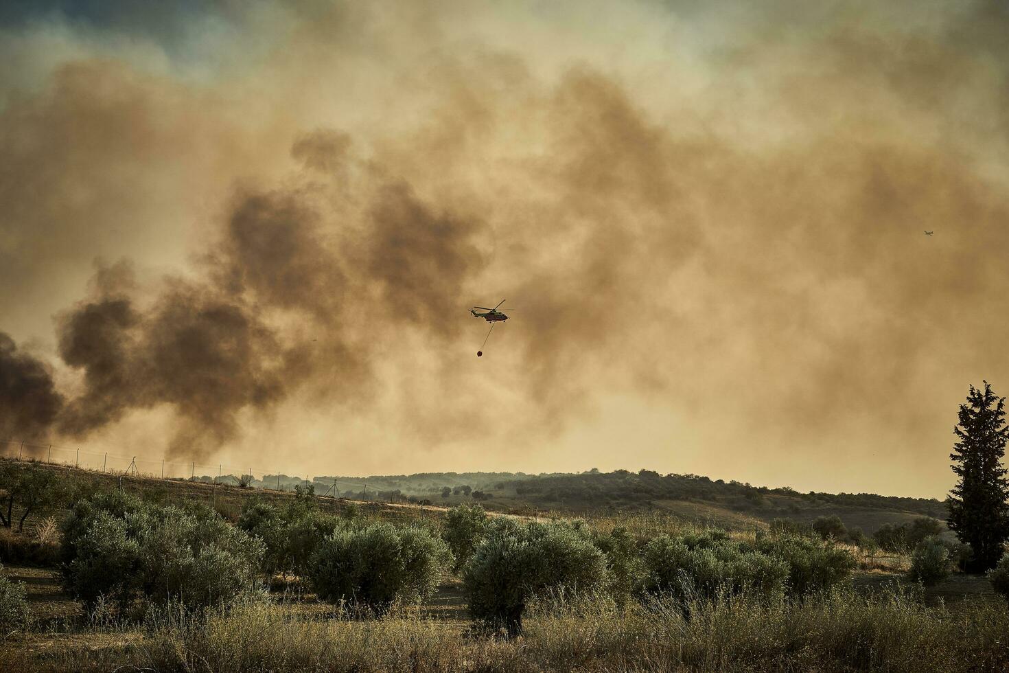 helicopter, Firefighters, prepares the trajectory to pour water on the forest fire. 1 photo