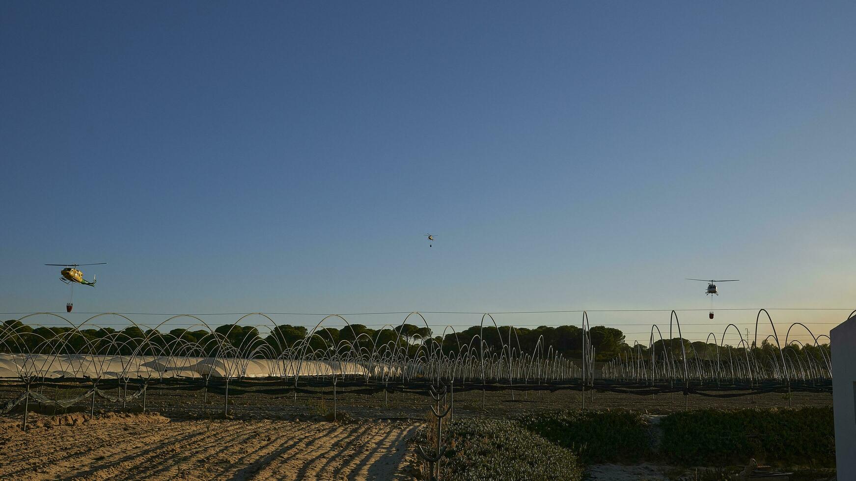 Huelva, Bonares, Spain. August 05 2023. The three Infoca musketeers. Infoca operators about to fill the Bambi buckets in some local irrigation tanks. photo