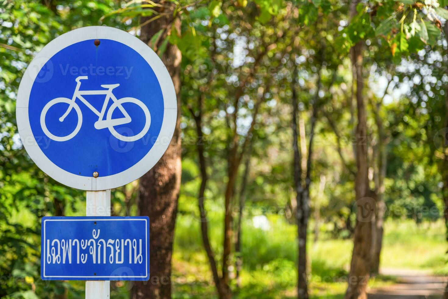 Post of Bicycle sign photo