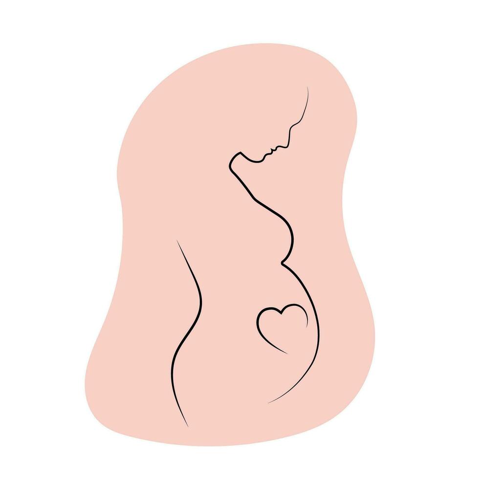 Outline contour of pregnant woman with heart on pink background vector