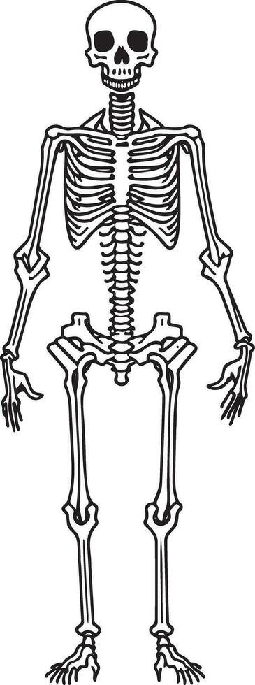 Skeleton Illustration Black And White Vector