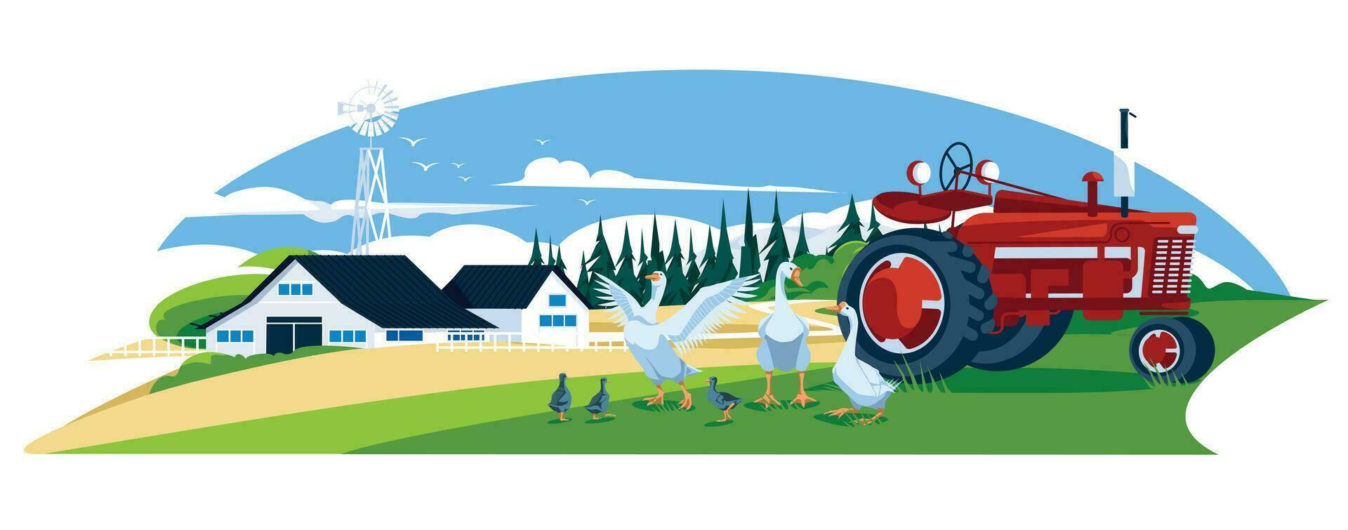 Landscape of farm land with house and geese on green meadow. Red tractor. Agriculture and farming. Vector flat illustration