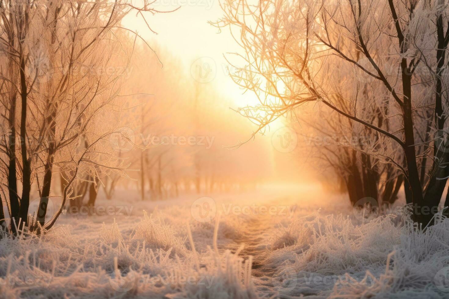 sunny frosty morning, good winter weather generative ai photo