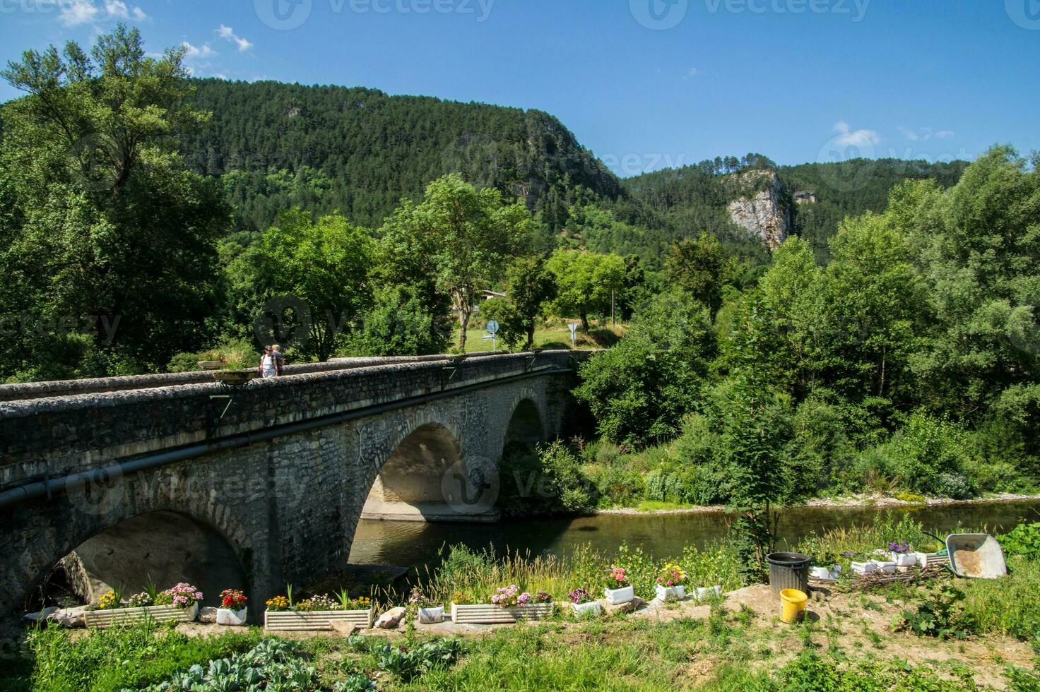 a bridge over a river with flowers and trees photo