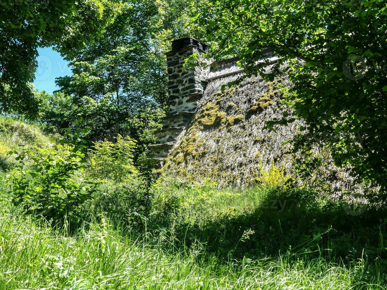 toit de chaume en auvergne photo
