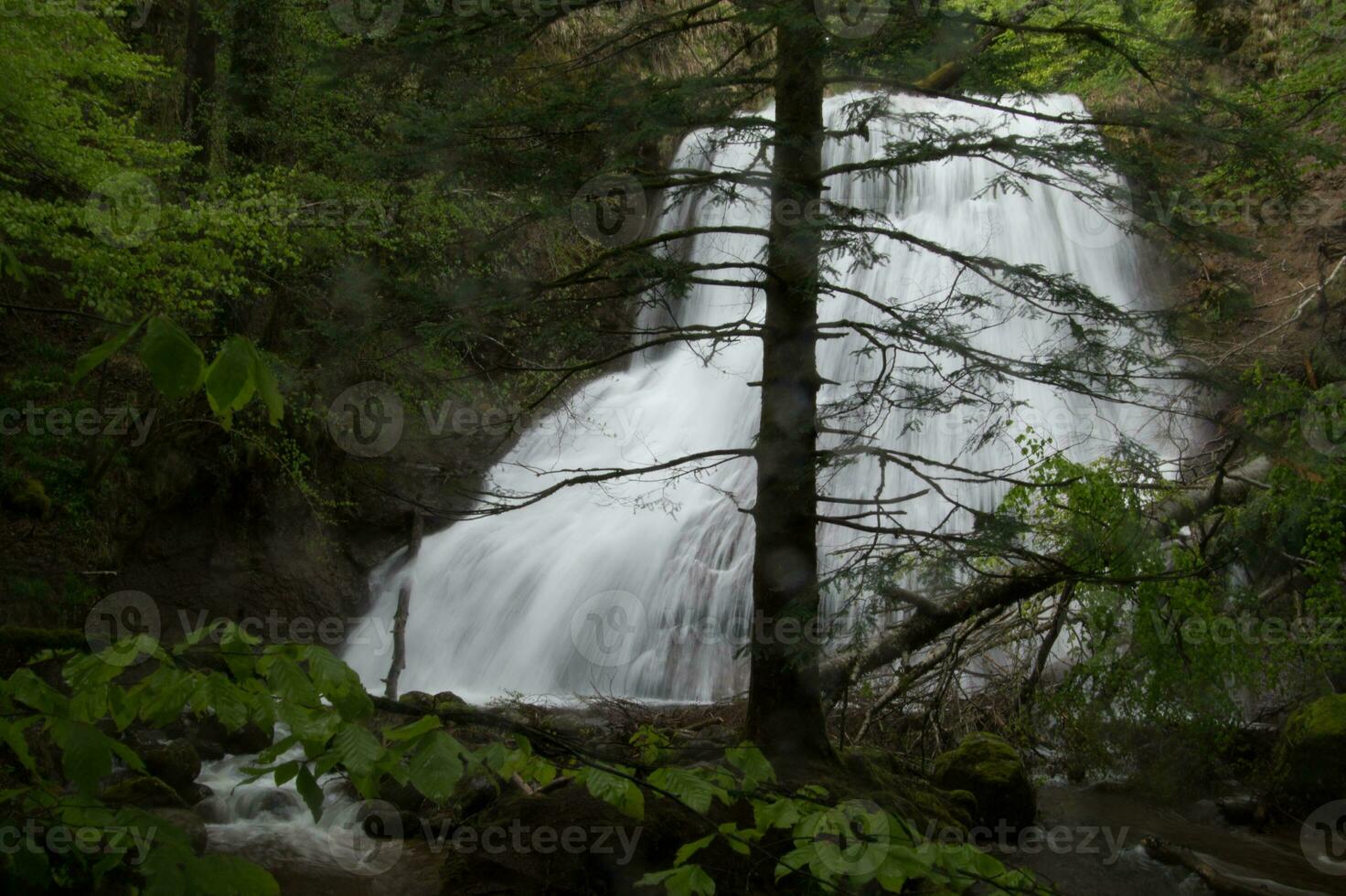 Natural Park of Auvergne Volcanoes photo