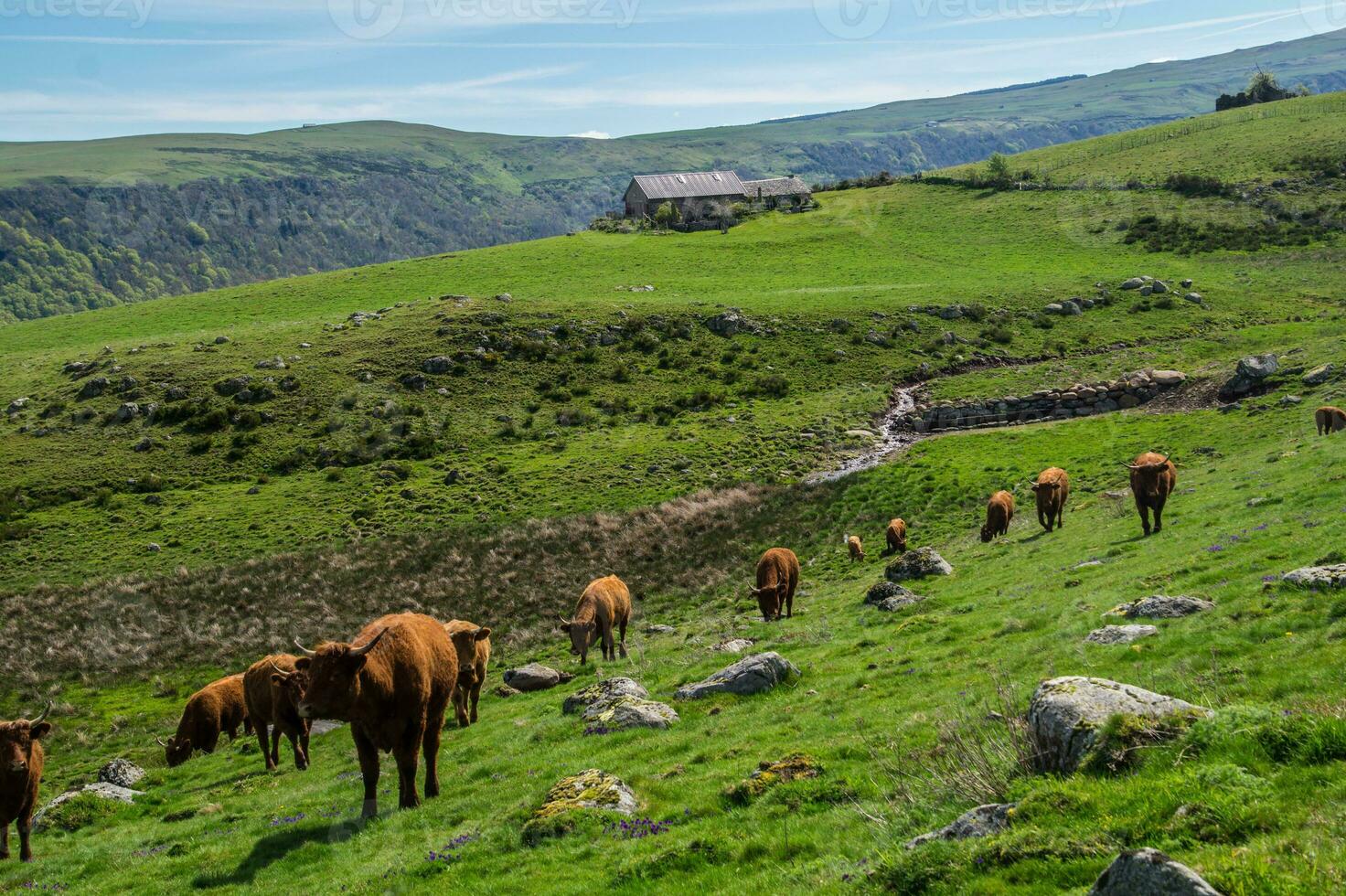 Natural Park of Auvergne Volcanoes photo