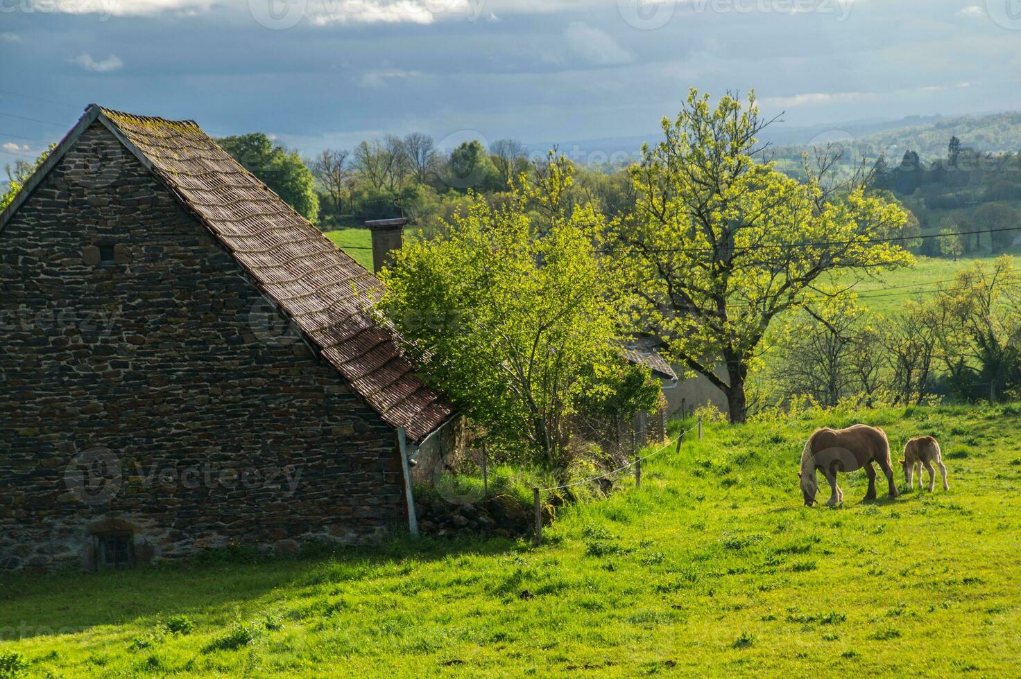 Natural Park of Auvergne Volcanoes photo