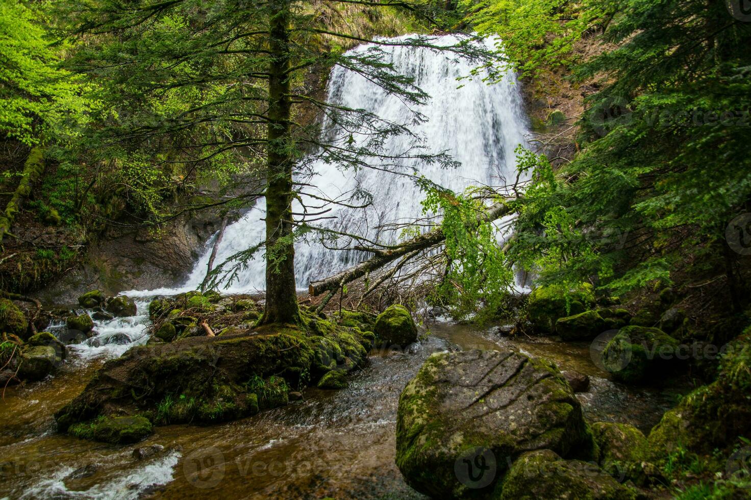 Natural Park of Auvergne Volcanoes photo