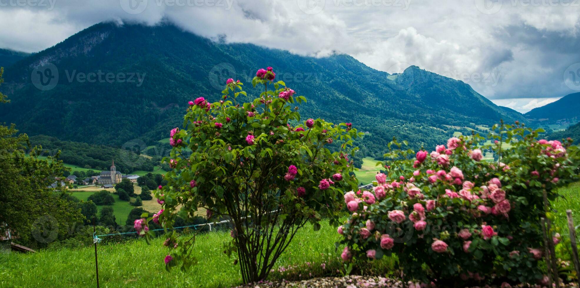 REGIONAL NATURAL PARK OF BAUGES photo