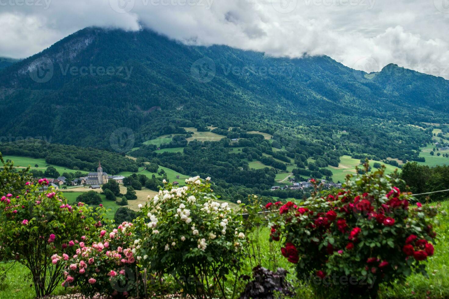 REGIONAL NATURAL PARK OF BAUGES photo