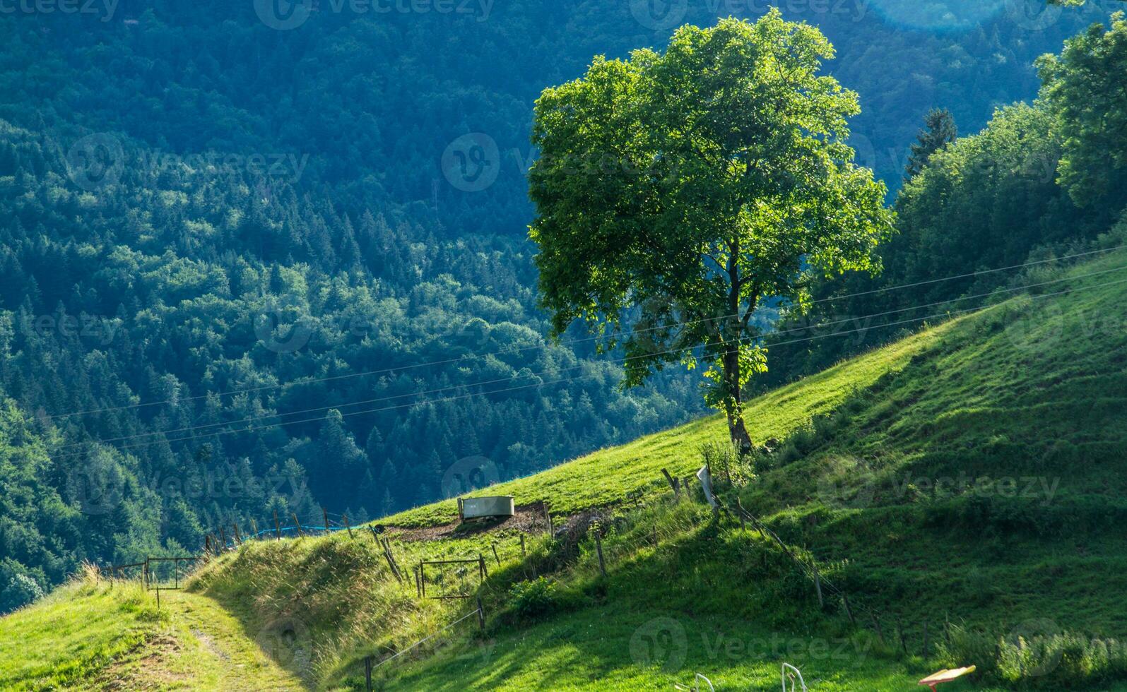 REGIONAL NATURAL PARK OF BAUGES photo