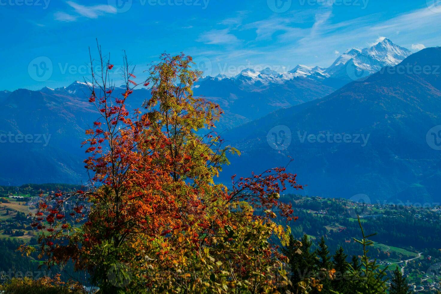 Swiss Alps landscape photo