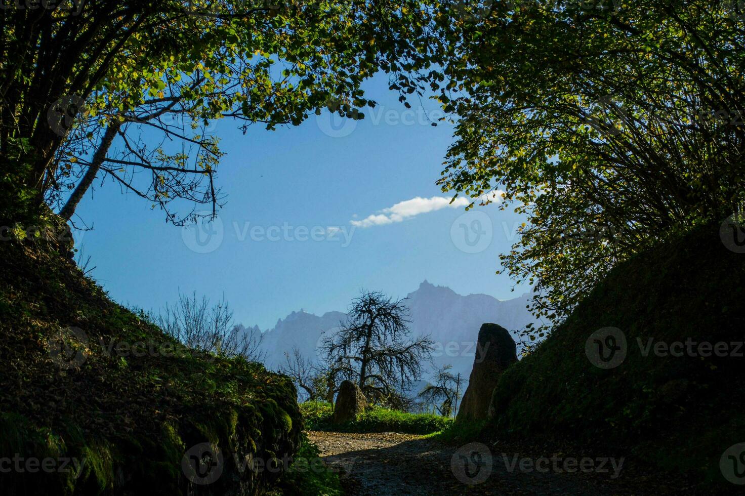 French Alps landscape photo