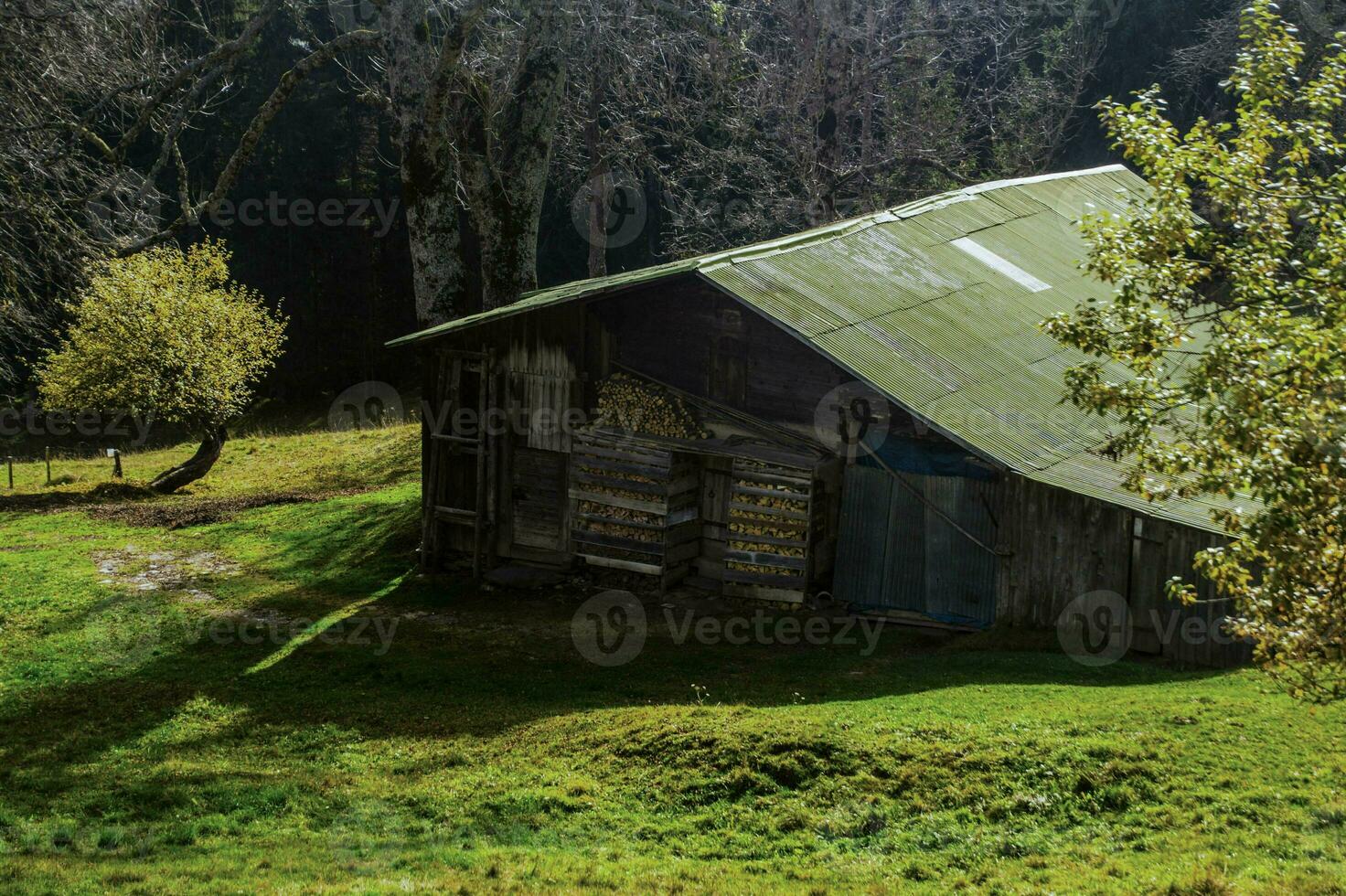 a barn with a green roof photo