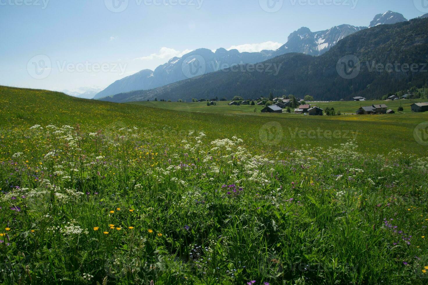 paisaje de el francés Alpes foto