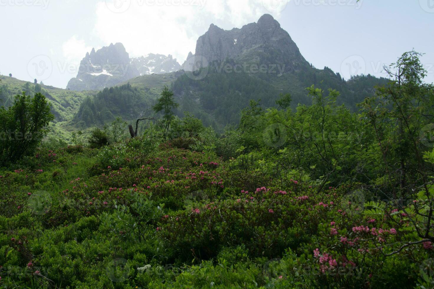 Landscape of the French Alps photo