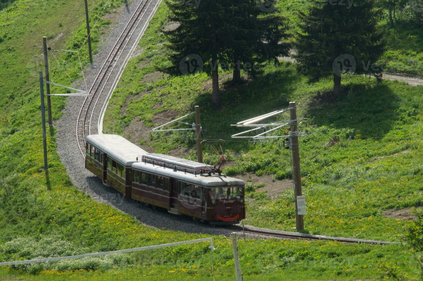 a train traveling down a track in a green field photo