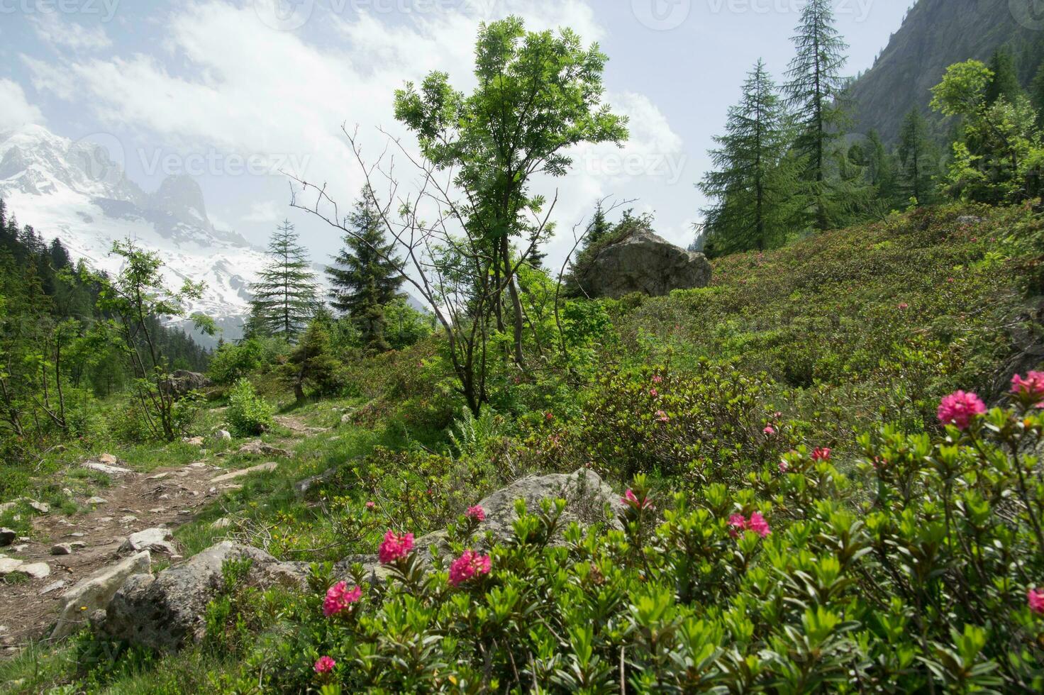 paisaje de el francés Alpes foto