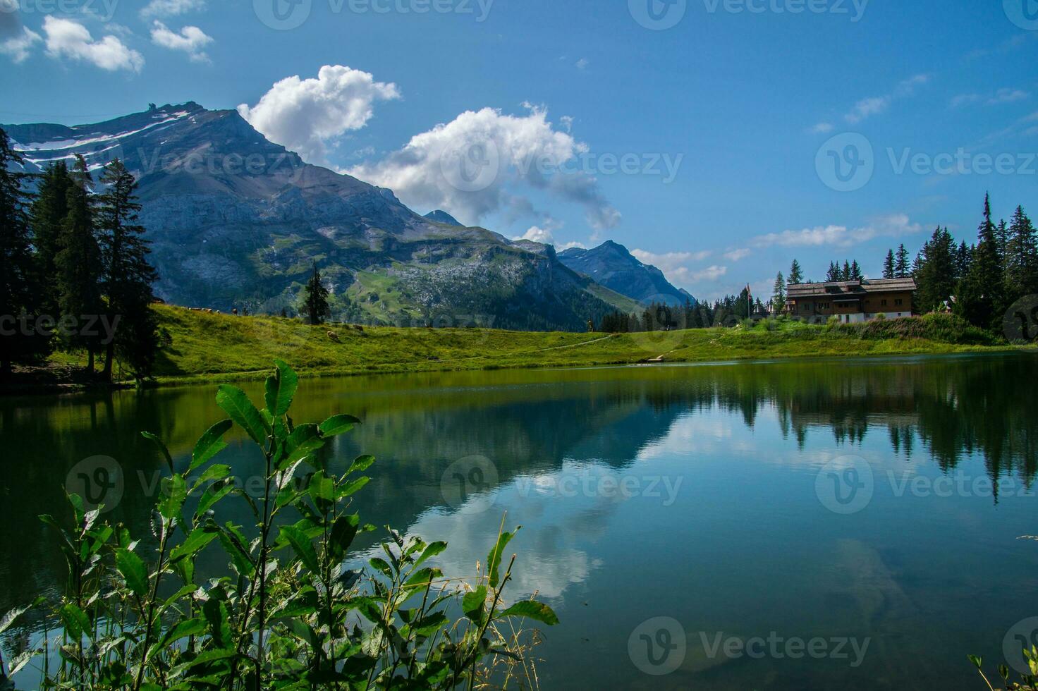 paisaje de el Alpes en Suiza en verano foto