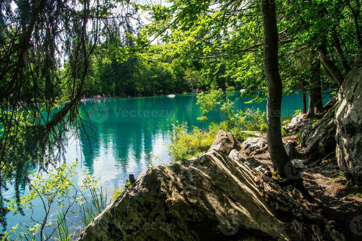 Landscape of the Alps in France in summer photo