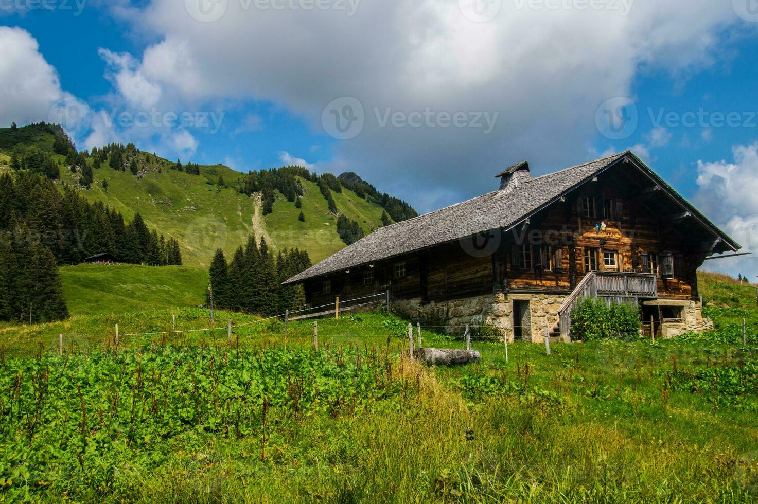 Landscape of the Alps in Switzerland in summer photo