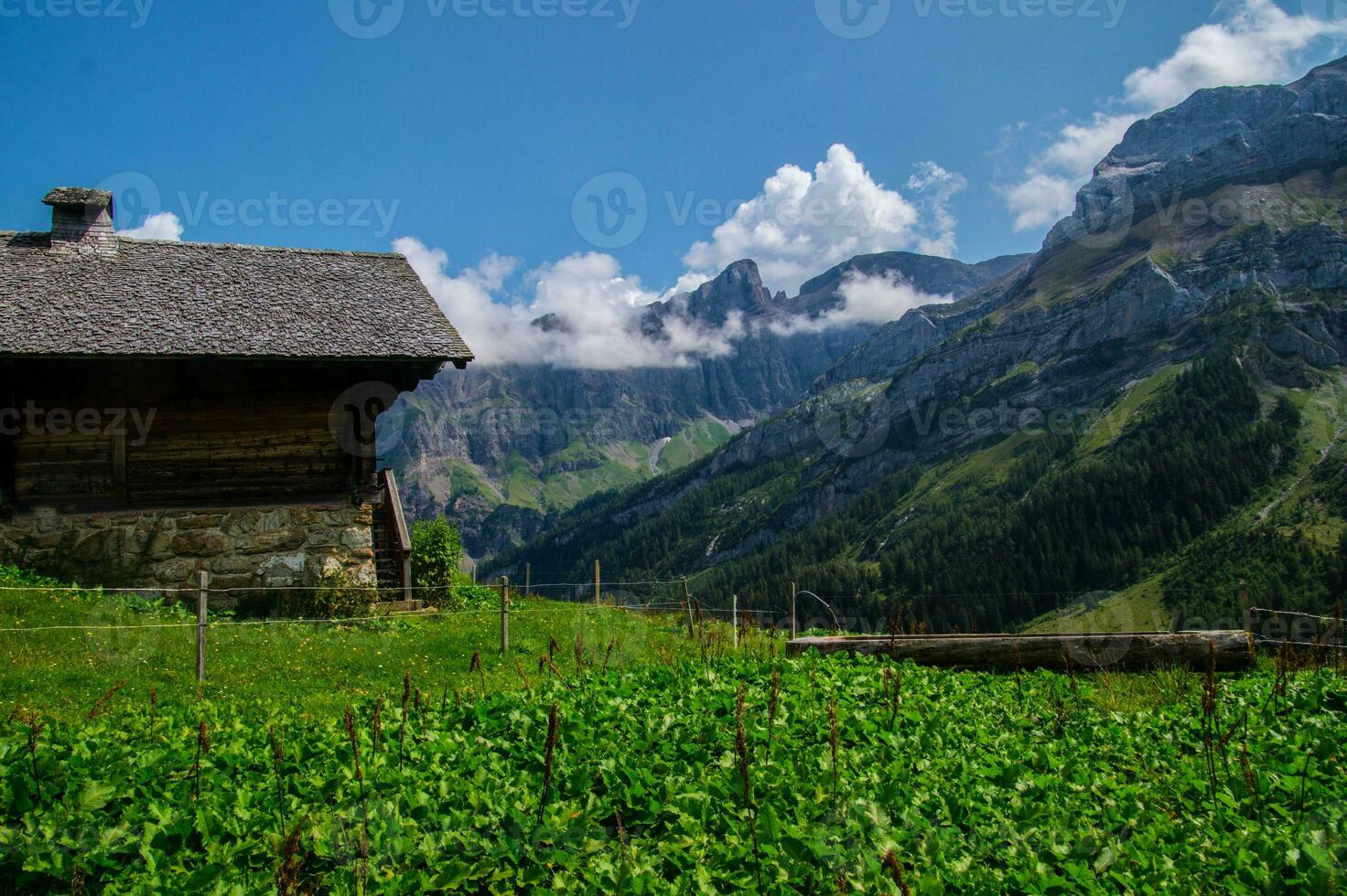 wooden walkway in the mountains photo