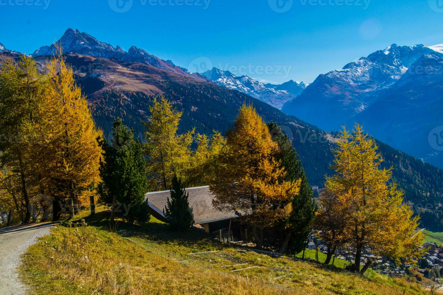 paysage des alpes suisse en automne photo