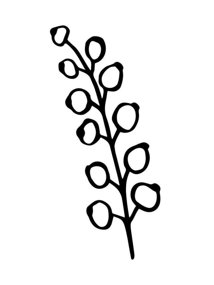 Leaf, herbs grass hand drawn doodle sketch. Vector illustration single of cartoon botanical plant. Isolated on white background.