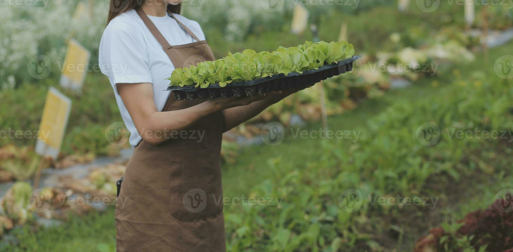 Hands holding big plate with different fresh farm vegetables. Autumn harvest and healthy organic food concept photo